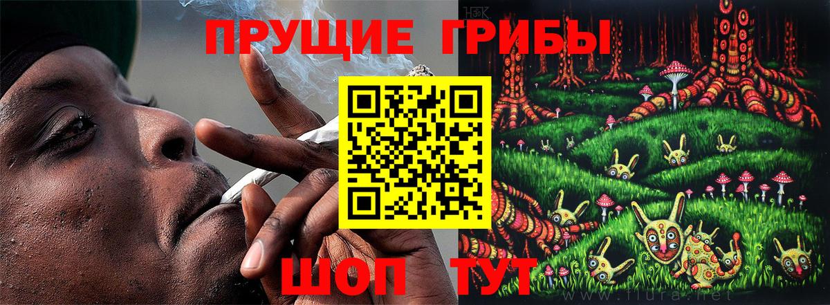 Галлюциногенные грибы Cubensis  Вход с VPN  как найти   Кимры  Псилоцибиновые грибы Magic Shrooms 