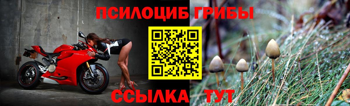 Псилоцибиновые грибы мицелий Кимры